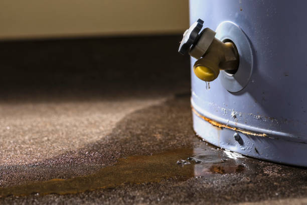 Best Mold removal after water damage  in Sisters, OR