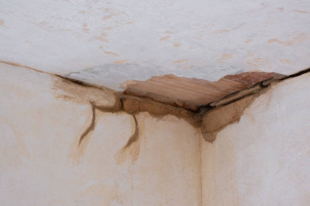 Water damage restoration insurance claims in OR